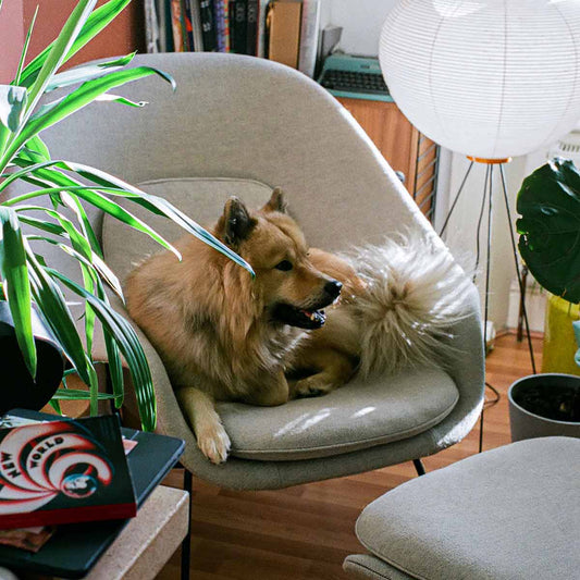 Womb Chair Relax | Beige 08 West Fabric Upholstery