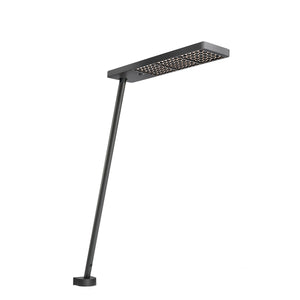 XT-A Single Table Clamp Light | Black