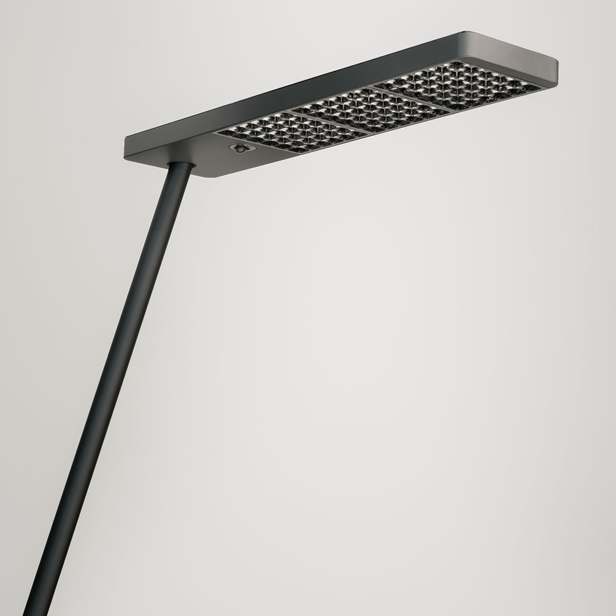 XT-A Single Table Clamp Light | Black