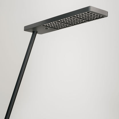 XT-A Single Table Clamp Light | Black