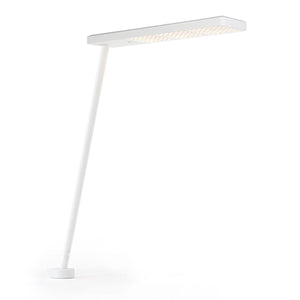 XT-A Single Table Clamp Light | White