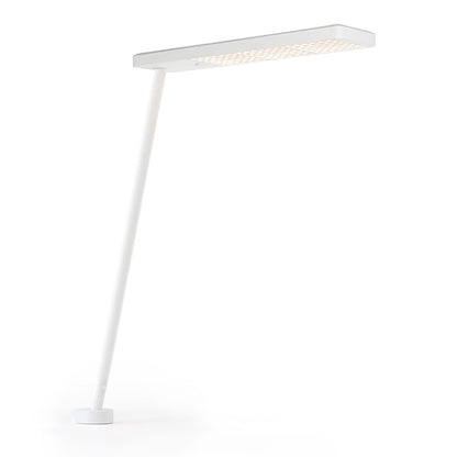 XT-A Single Table Clamp Light | White