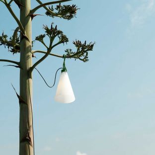 May Day Outdoor Lamp